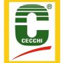 cecchi