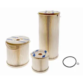 REPLACEMENT FILTER 30 MICRON 1000MA - OR2020 PM-OR
