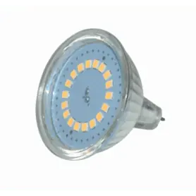 LAMPADINA DICROICA A 21 LED - 11-30V