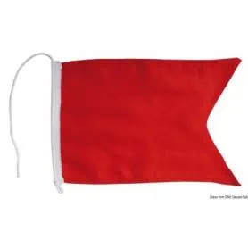 Protest flag regulations