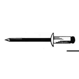 Stainless Steel Rivet, regular head.