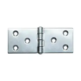 Cerniera inox AISI 316 100x40x2mm