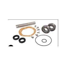 Kit ripar. pompa acqua presa mare VP 31/41/42/43/44/300