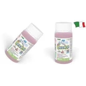 DECH 10 - ELIMINATES RUST FROM PVC,NEOPRENE,VTR 250ml