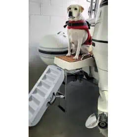 Dog Paw Scale