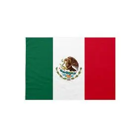 Mexican flag 20x30
