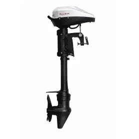 Pulsar 6HP 24V electric motor