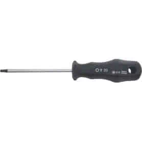 CACCIAVITE TORX TX25 L.100